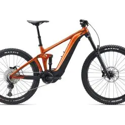 Giant Reign Pro 3